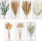Green Pampas Grass Bouquet – Boho Home & Wedding Floral Arrangements – Dried Pampas Grass Decor for Living Room, Fireplace, and Modern Farmhouse